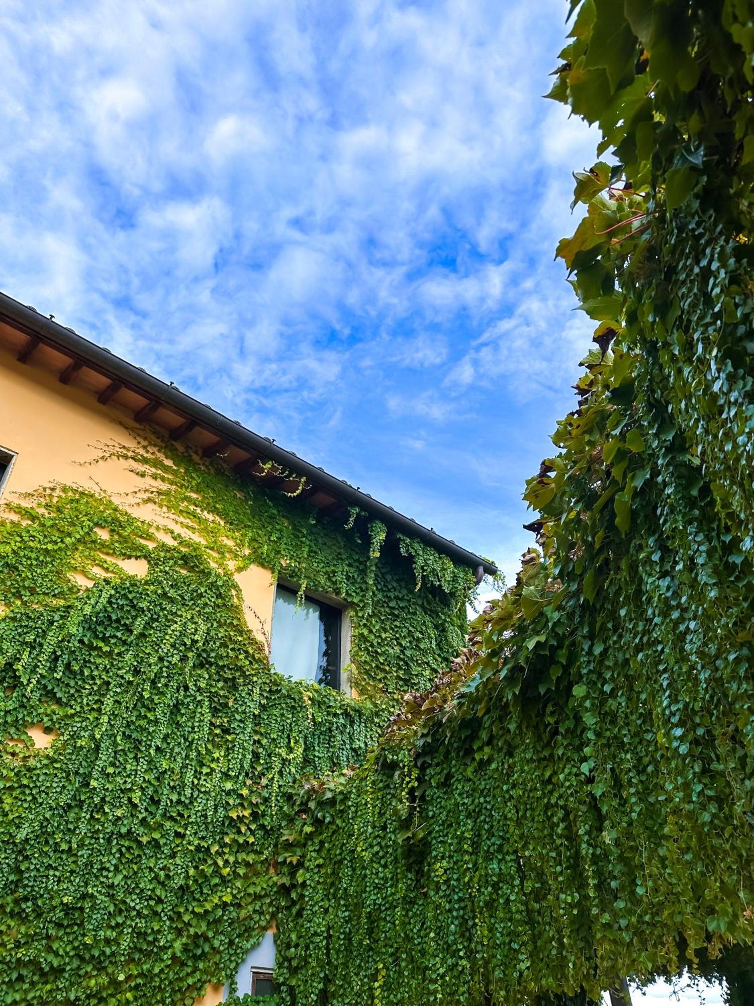 Tenuta Massabò San Casciano in Val di Pesa Exterior foto
